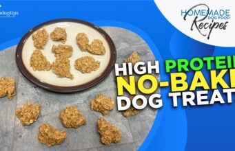Recipe: High Protein No-Bake Dog Treats High Protein No-Bake Dog Treats
