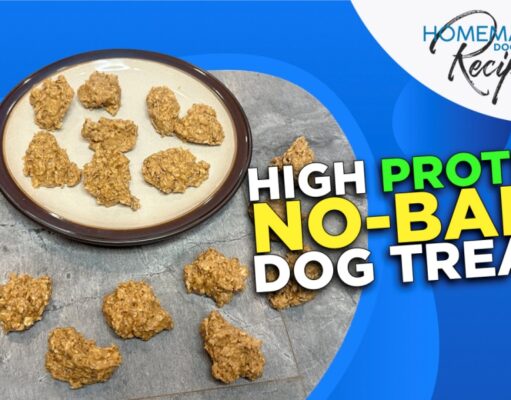 Recipe: High Protein No-Bake Dog Treats High Protein No-Bake Dog Treats