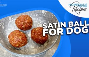 Recipe: Satin Balls for Dogs To Gain Weight Satin Balls for Dogs