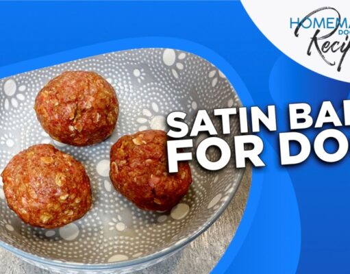 Recipe: Satin Balls for Dogs To Gain Weight Satin Balls for Dogs