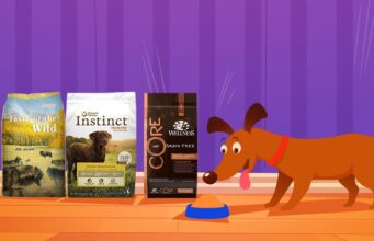 15 Top Dog Food Brands: Best Dry Dog Foods Top Dog Food Brands 2023