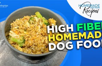 Recipe: High Fiber Homemade Dog Food High Fiber Homemade Dog Food