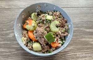 Homemade Low-Cost Dog Food Recipe Low-Cost Dog Food Recipe