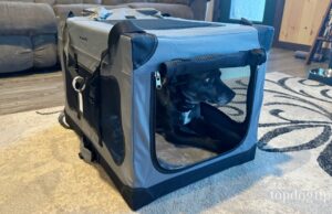 Review: Mr. Peanut’s Folding Pet Crate Mr. Peanut Folding Pet Crate