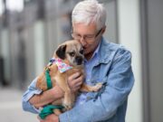 Remembering Paul O’Grady: Dogs That He Saved By His Kindness Paul O'Grady and Florence the pug cross Image Battersea Dogs & Cats Home