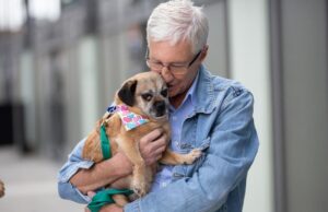 Remembering Paul O’Grady: Dogs That He Saved By His Kindness Paul O'Grady and Florence the pug cross Image Battersea Dogs & Cats Home