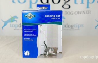 Review: PetSafe Dancing Dot Cat Toy PetSafe Dancing Dot Cat Toy