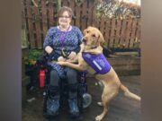 Dog Saves Owner with Rare Bone Disease and Popped Joints Back to Place Sue Holmes and Vinnie