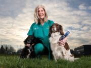A Labrador Headbutted a Vet Nurse’s Chest and Saved Her Life Vet nurse Angie Shaw with her dogs