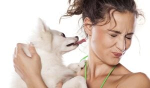 Why Does My Dog Lick Me - Most-Asked Question From Dog Owners