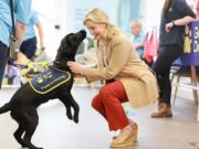 Dog Rushes Up and Kisses Sophie, Duchess of Edinburgh dog rushes up and kisses Sophie, Duchess of Edinburgh