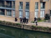 Met Police Shoot Two Dogs Dead, Taser Owner in East London met police shoots two dogs