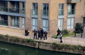 Met Police Shoot Two Dogs Dead, Taser Owner in East London met police shoots two dogs