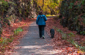 Most Dog-Friendly Parks in the US most dog-friendly parks in the US