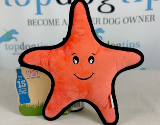 Review: Beco Pets Sindy the Starfish Dog Toy Beco Pets Sindy the Starfish