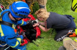 Dog Rescued After Falling Over 200ft Cliff Edge SFRS Bailey reunSFRS Bailey reunited with Owner Nicola Jonesited with Owner Nicola Jones