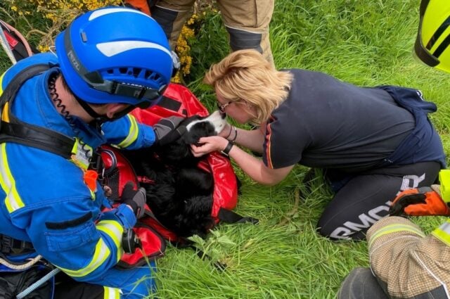 SFRS Bailey reunited with Owner Nicola Jones SFRS Bailey reunSFRS Bailey reunited with Owner Nicola Jonesited with Owner Nicola Jones