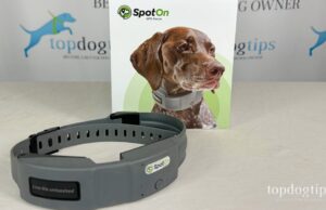 Review: SpotOn GPS Dog Fence SpotOn GPS Dog Fence