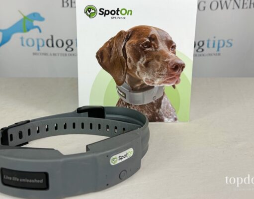 Review: SpotOn GPS Dog Fence SpotOn GPS Dog Fence