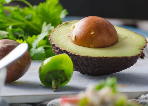Image showcasing Can Dogs Eat Avocado: 13 Surprising Benefits and Potential Risks – Top ...