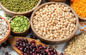 Can Dogs Eat Beans? 9 Healthy and Safe Varieties for Your Dog can dogs eat beans