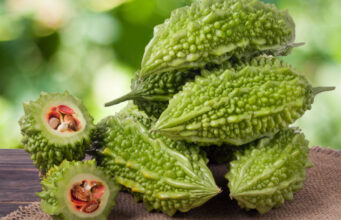 Can Dogs Eat Bitter Gourd: Benefits & Risks can dogs eat bitter gourd