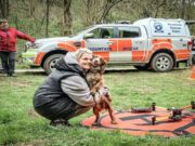Injured Dog Rescued After Falling a 100ft Cliff Edge dog rescued after cliff fall