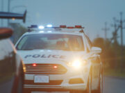 Driver Switches Seat with Dog to Escape Speeding Ticket and DUI Arrest driver switches place with dog