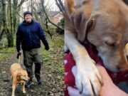 Owner and Pet Dog Both Diagnosed with Kidney Cancer man and pet dog both diagnosed with kidney cancer at the same time