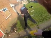 American Bully XL Dogs Spark Concern to Yorkshire Police Chief American Bully XL dogs attack Yorkshire Police Officer