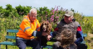 Dog Rescued At Guernsey Coast After Spotted by Kayakers Dog Rescued At Guernsey Coast After Spotted by Kayakers