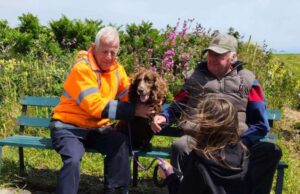 Dog Rescued At Guernsey Coast After Spotted by Kayakers Dog Rescued At Guernsey Coast After Spotted by Kayakers