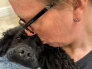 Dog Missing From Powys Found After Eight-Month Search Image: Emma Darling/Petlog