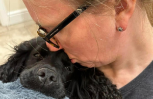 Dog Missing From Powys Found After Eight-Month Search Image: Emma Darling/Petlog