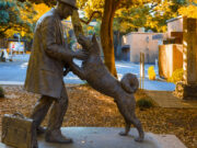 Hachiko At 100: Remembering the World’s Most Loyal Dog Hachiko At 100: Remembering the World’s Most Loyal Dog