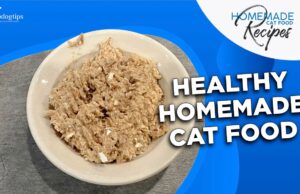 Recipe: Healthy Homemade Cat Food with Turkey Healthy Homemade Cat Food