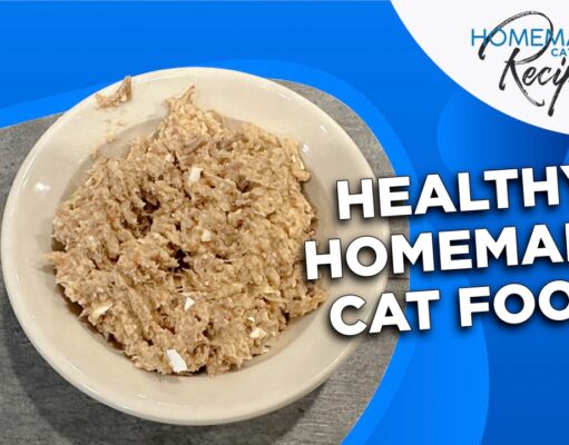 Recipe: Healthy Homemade Cat Food with Turkey Healthy Homemade Cat Food