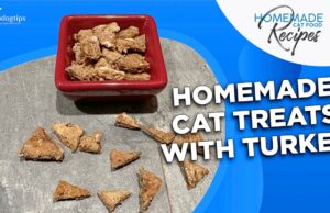 Homemade Cat Treat Recipe with Turkey Homemade Cat Treats with Turkey