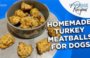 Recipe: Homemade Turkey Meatballs for Dogs Homemade Turkey Meatballs for Dogs