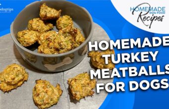 Recipe: Homemade Turkey Meatballs for Dogs Homemade Turkey Meatballs for Dogs