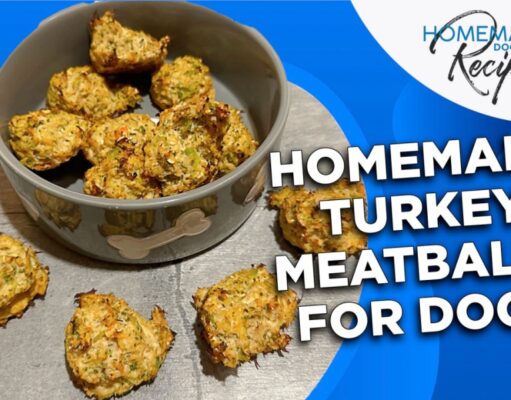 Recipe: Homemade Turkey Meatballs for Dogs Homemade Turkey Meatballs for Dogs
