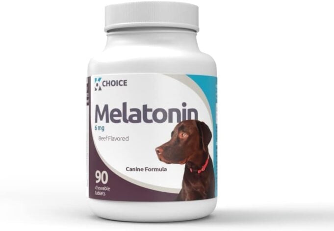 Melatonin And Dogs Training