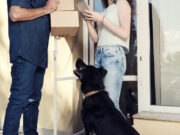 Northern Ireland Ranks 2nd Highest Number of Dog Attacks on Royal Mail Staff Northern Ireland Ranks 2nd Highest Number of Dog Attacks on Royal Mail Staff