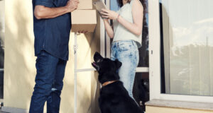 Northern Ireland Ranks 2nd Highest Number of Dog Attacks on Royal Mail Staff Northern Ireland Ranks 2nd Highest Number of Dog Attacks on Royal Mail Staff