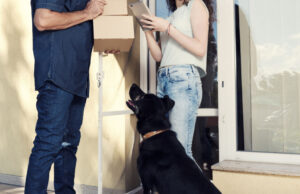 Northern Ireland Ranks 2nd Highest Number of Dog Attacks on Royal Mail Staff Northern Ireland Ranks 2nd Highest Number of Dog Attacks on Royal Mail Staff