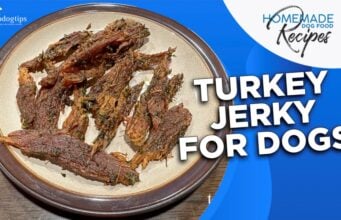 Recipe: Turkey Jerky Dog Treats Turkey Jerky for Dogs