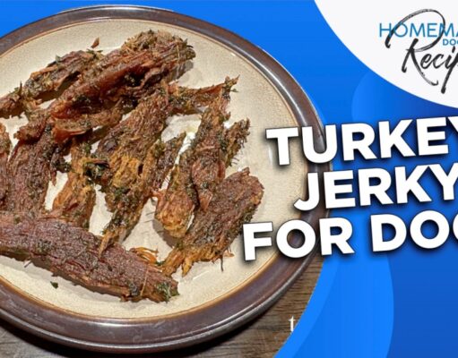 Recipe: Turkey Jerky Dog Treats Turkey Jerky for Dogs