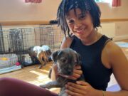 New Yoga Classes Mix Puppies And Workouts Teckels Animal Sanctuary New Yoga Classes Mix Puppies And Workouts Image By: Video Journalist Dan Ayers BBC