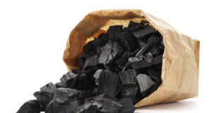 My Dog Ate Charcoal: 3 Potential Risks my dog ate charcoal