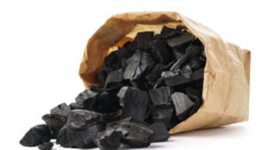 bbq hazard for dogs: charcoal